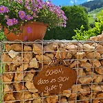 Bergtraeume *