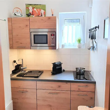 Bergtraeume Daire Haus im Ennstal