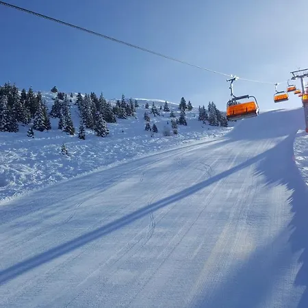 Bergträume Appartement *