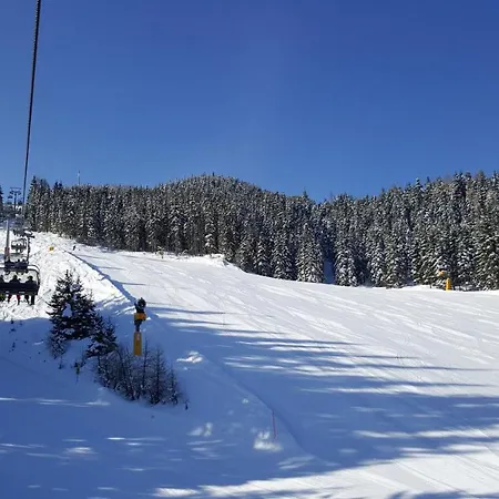 Appartement Bergträume Haus im Ennstal