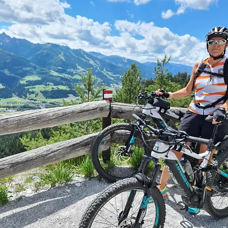 Bergtraeume Haus im Ennstal