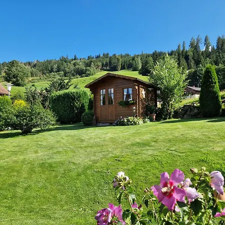 Apartamento Bergtraeume Haus im Ennstal