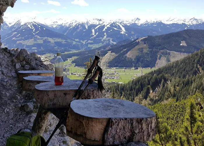 Bergtraeume * Haus im Ennstal