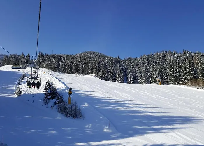 Daire Bergtraeume Haus im Ennstal