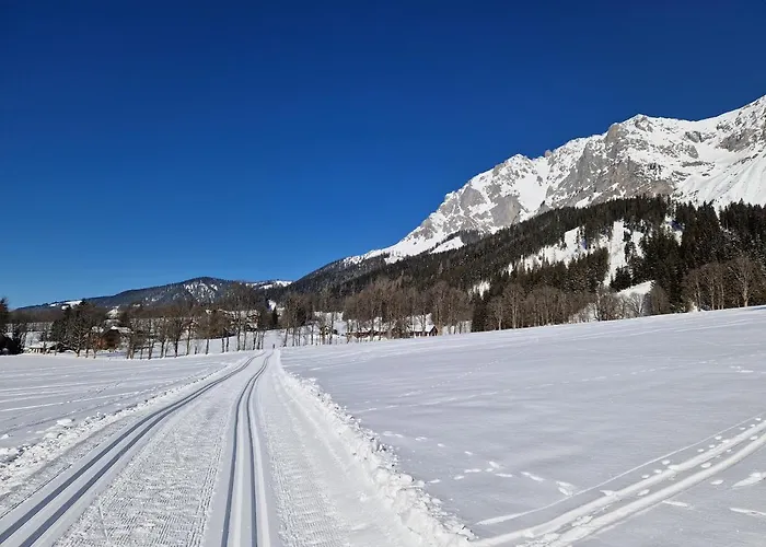 Bergtraeume * Haus im Ennstal