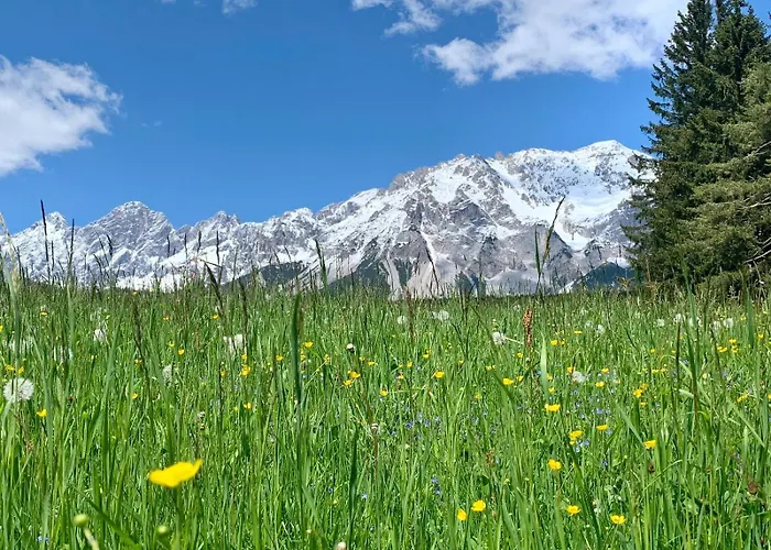 Bergtraeume Haus im Ennstal
